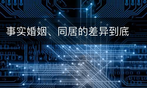 事实婚姻、同居的差异到底