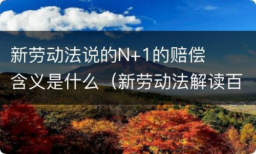 新劳动法说的N+1的赔偿含义是什么（新劳动法解读百科）