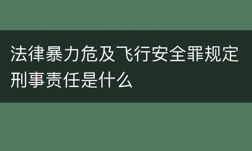 法律暴力危及飞行安全罪规定刑事责任是什么