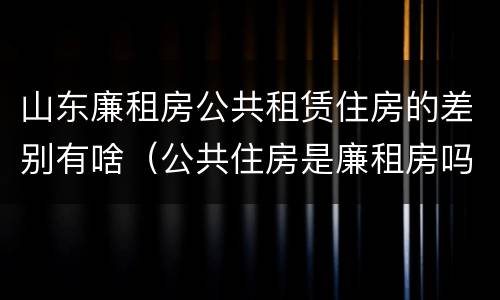 山东廉租房公共租赁住房的差别有啥（公共住房是廉租房吗）