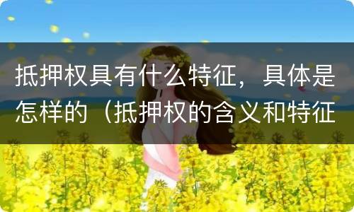 抵押权具有什么特征，具体是怎样的（抵押权的含义和特征）