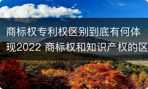 商标权专利权区别到底有何体现2022 商标权和知识产权的区别