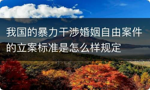 我国的暴力干涉婚姻自由案件的立案标准是怎么样规定