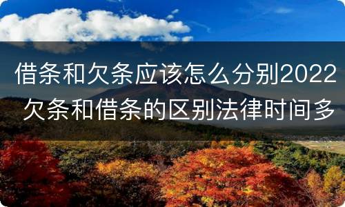 借条和欠条应该怎么分别2022 欠条和借条的区别法律时间多少年