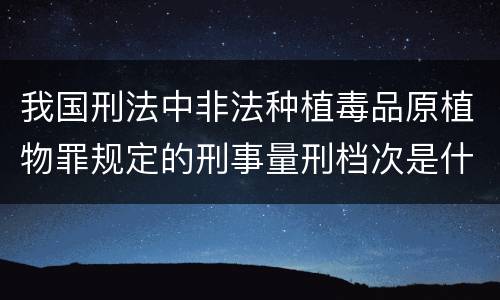 我国刑法中非法种植毒品原植物罪规定的刑事量刑档次是什么