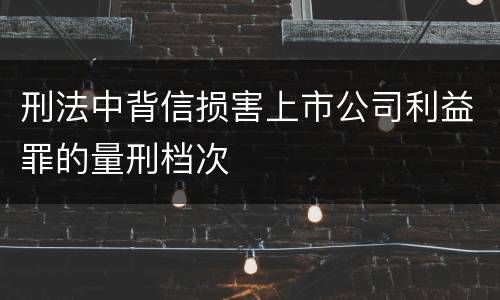 刑法中背信损害上市公司利益罪的量刑档次