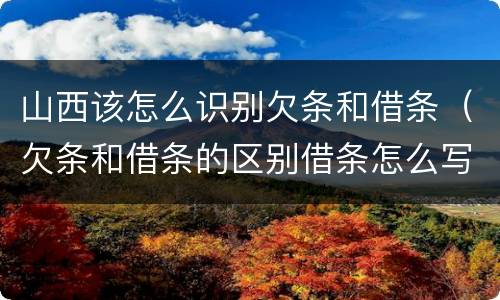 山西该怎么识别欠条和借条（欠条和借条的区别借条怎么写）