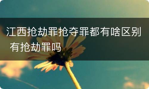 江西抢劫罪抢夺罪都有啥区别 有抢劫罪吗