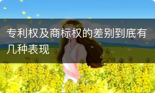 专利权及商标权的差别到底有几种表现