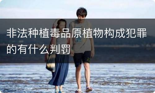 非法种植毒品原植物构成犯罪的有什么判罚