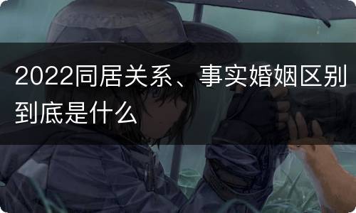 2022同居关系、事实婚姻区别到底是什么