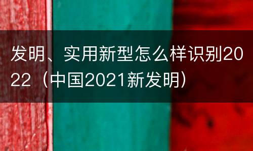 发明、实用新型怎么样识别2022（中国2021新发明）