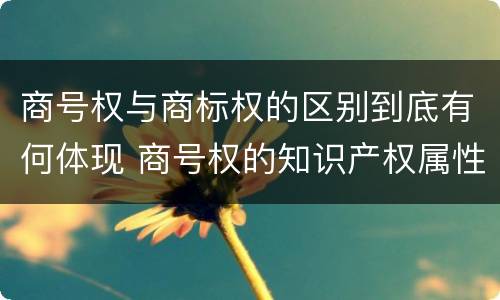 商号权与商标权的区别到底有何体现 商号权的知识产权属性