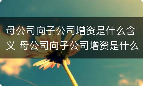 母公司向子公司增资是什么含义 母公司向子公司增资是什么含义啊