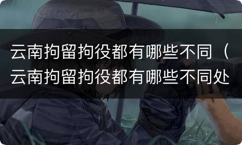 云南拘留拘役都有哪些不同（云南拘留拘役都有哪些不同处罚）