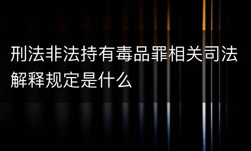 刑法非法持有毒品罪相关司法解释规定是什么