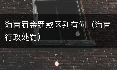 海南罚金罚款区别有何（海南行政处罚）