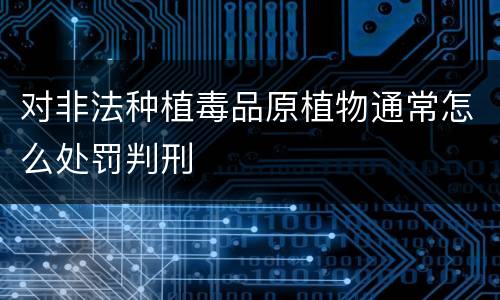 对非法种植毒品原植物通常怎么处罚判刑