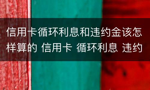 信用卡循环利息和违约金该怎样算的 信用卡 循环利息 违约金