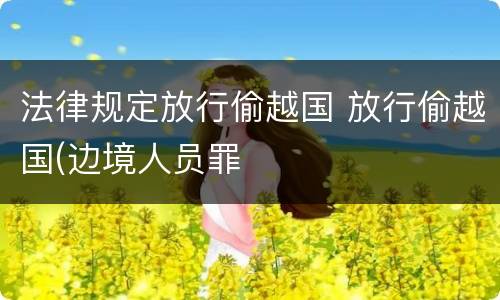 法律规定放行偷越国 放行偷越国(边境人员罪