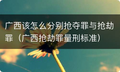 广西该怎么分别抢夺罪与抢劫罪（广西抢劫罪量刑标准）