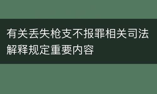 有关丢失枪支不报罪相关司法解释规定重要内容