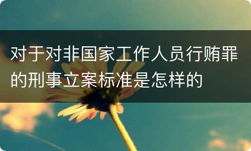 对于对非国家工作人员行贿罪的刑事立案标准是怎样的