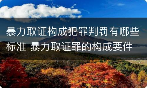 暴力取证构成犯罪判罚有哪些标准 暴力取证罪的构成要件