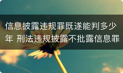 信息披露违规罪既遂能判多少年 刑法违规披露不批露信息罪
