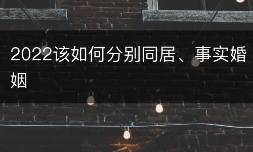 2022该如何分别同居、事实婚姻