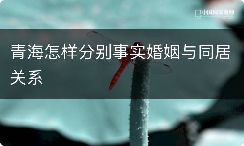 青海怎样分别事实婚姻与同居关系
