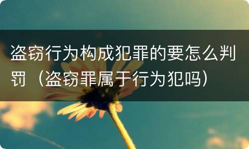 盗窃行为构成犯罪的要怎么判罚（盗窃罪属于行为犯吗）