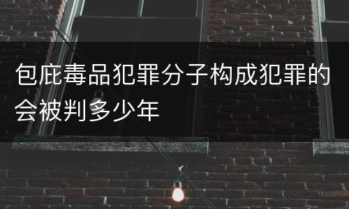 包庇毒品犯罪分子构成犯罪的会被判多少年