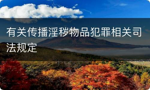 有关传播淫秽物品犯罪相关司法规定