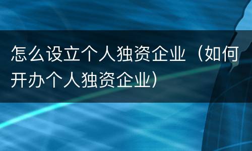 怎么设立个人独资企业（如何开办个人独资企业）