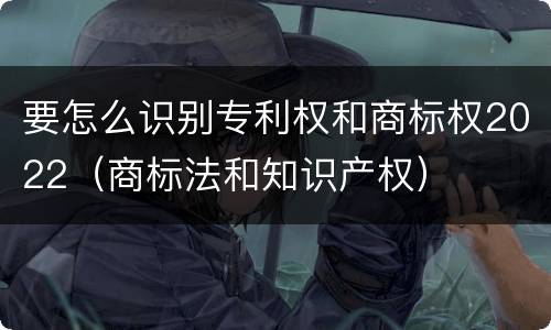 要怎么识别专利权和商标权2022（商标法和知识产权）
