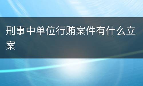 刑事中单位行贿案件有什么立案