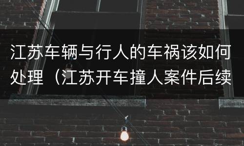 江苏车辆与行人的车祸该如何处理（江苏开车撞人案件后续）