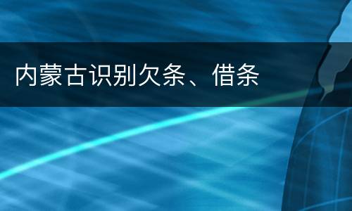 内蒙古识别欠条、借条