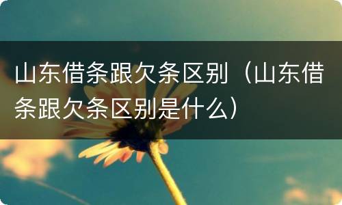 山东借条跟欠条区别（山东借条跟欠条区别是什么）