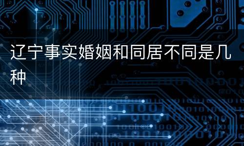 辽宁事实婚姻和同居不同是几种