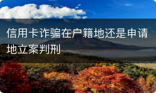 信用卡诈骗在户籍地还是申请地立案判刑