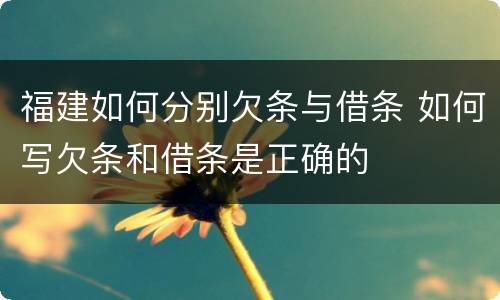 福建如何分别欠条与借条 如何写欠条和借条是正确的