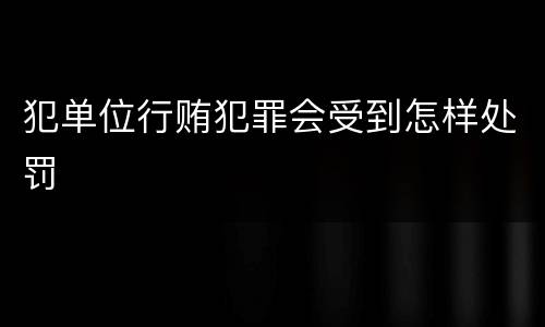犯单位行贿犯罪会受到怎样处罚