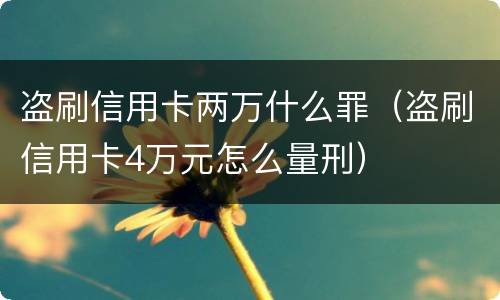 盗刷信用卡两万什么罪（盗刷信用卡4万元怎么量刑）