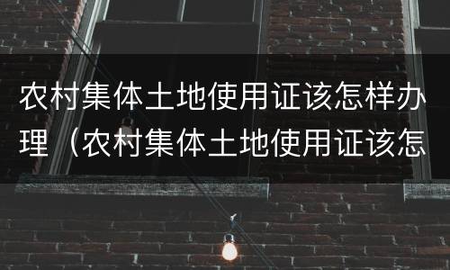 农村集体土地使用证该怎样办理（农村集体土地使用证该怎样办理呢）
