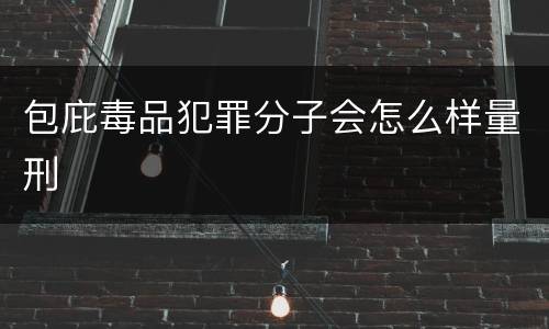 包庇毒品犯罪分子会怎么样量刑