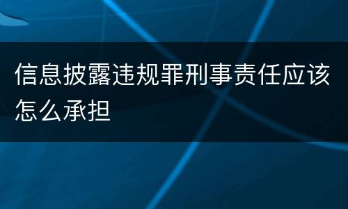 信息披露违规罪刑事责任应该怎么承担
