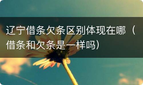 辽宁借条欠条区别体现在哪（借条和欠条是一样吗）