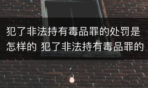 犯了非法持有毒品罪的处罚是怎样的 犯了非法持有毒品罪的处罚是怎样的处理